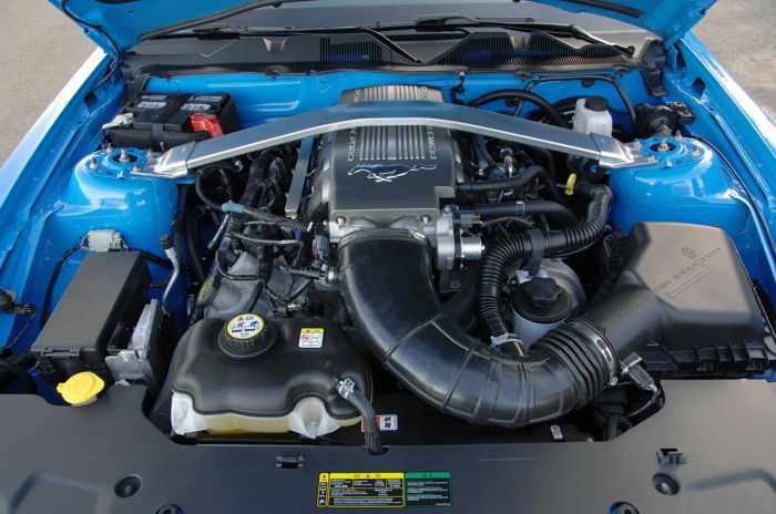 2010mustangfd_37.jpg