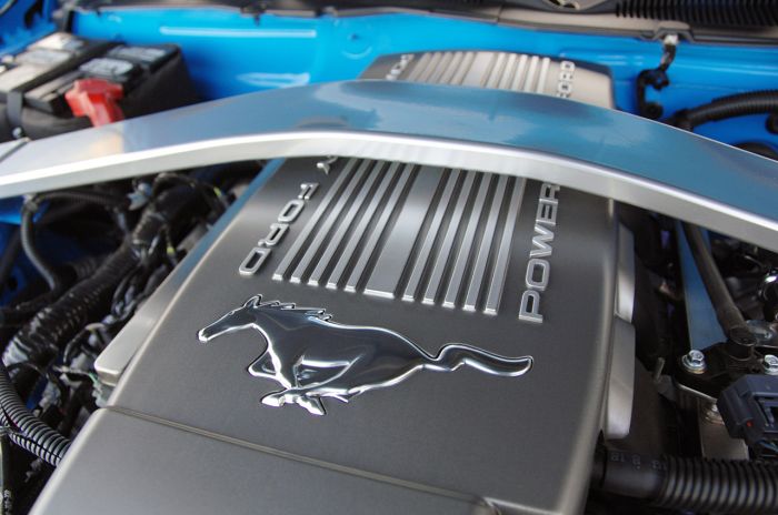 2010mustangfd_41.jpg
