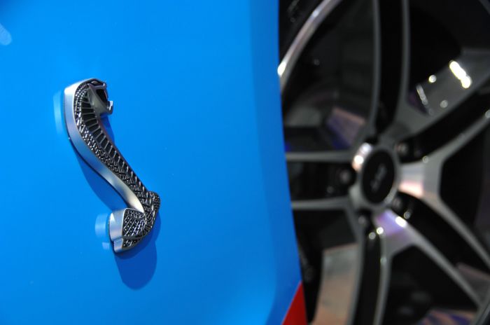 2010-shelby-gt500-convertible-schlange1.jpg