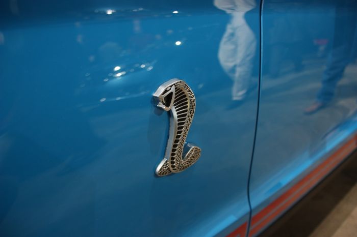 2010-shelby-gt500-convertible-schlange3.jpg