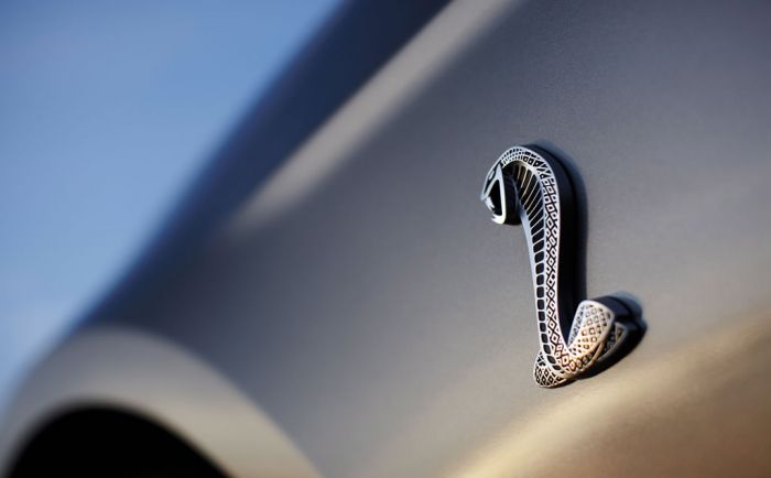 2010_shelby-gt500_convertible_exterieur03.jpg