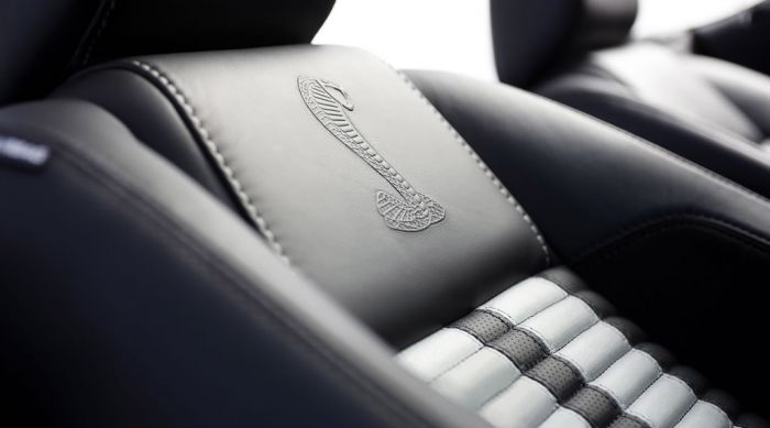 2010_shelby-gt500_interieur04.jpg