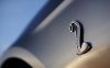 2010_shelby-gt500_convertible_exterieur03.jpg