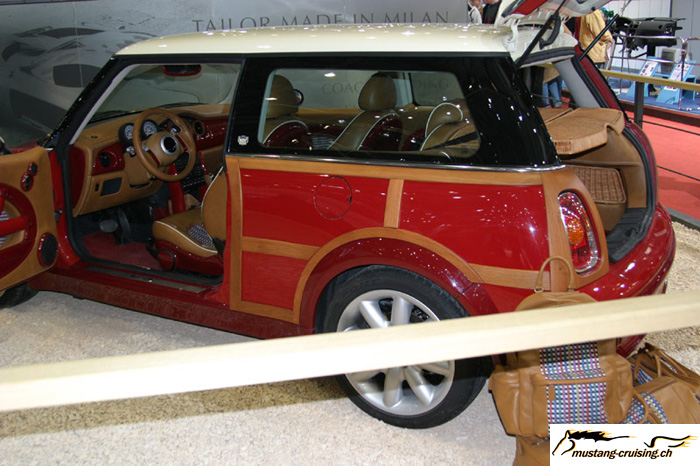 mini.jpg