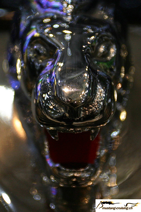 CRW_2028_JFR.jpg