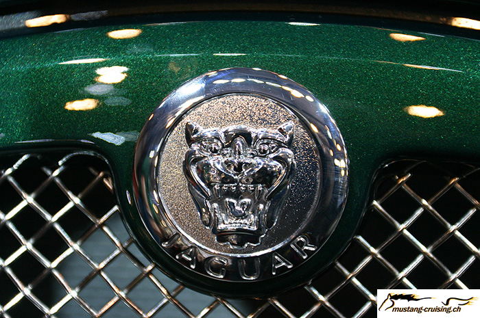 CRW_2059_JFR.jpg