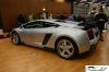 CRW_2151_JFR.jpg