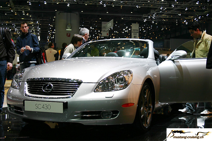 CRW_4961_JFR.jpg