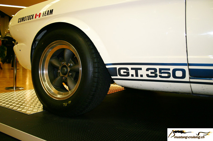 CRW_4974_JFR.jpg