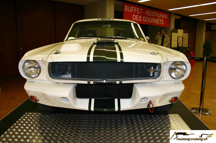 CRW_4977_JFR.jpg