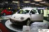 CRW_4842_JFR.jpg
