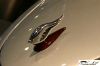 CRW_4848_JFR.jpg