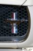 CRW_4976_JFR.jpg