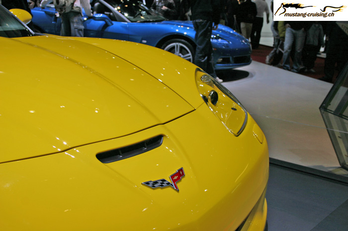 CRW_5232_JFR.jpg