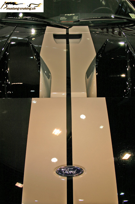 CRW_5299_JFR.jpg
