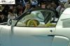CRW_5304_JFR.jpg