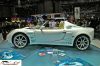 CRW_5305_JFR.jpg