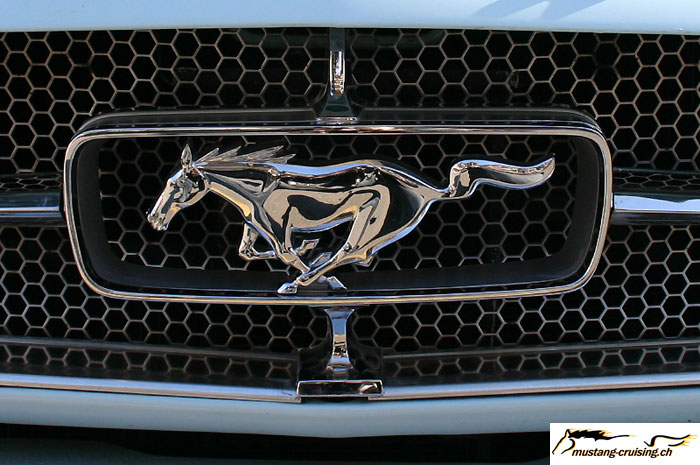 stang.jpg