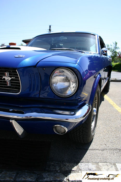 CRW_6139_JFR.jpg
