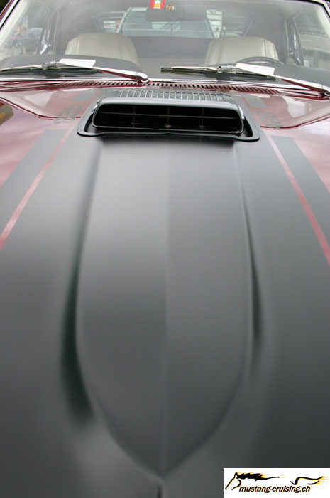 CRW_5938_JFR.jpg