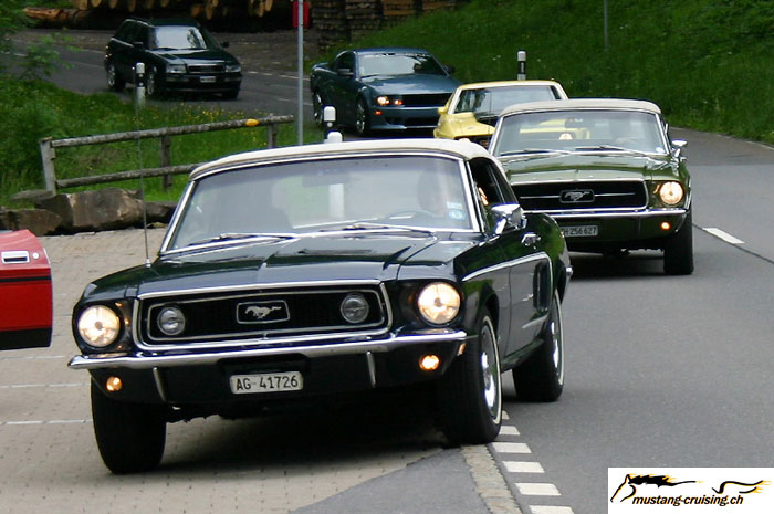 CRW_5942_JFR.jpg