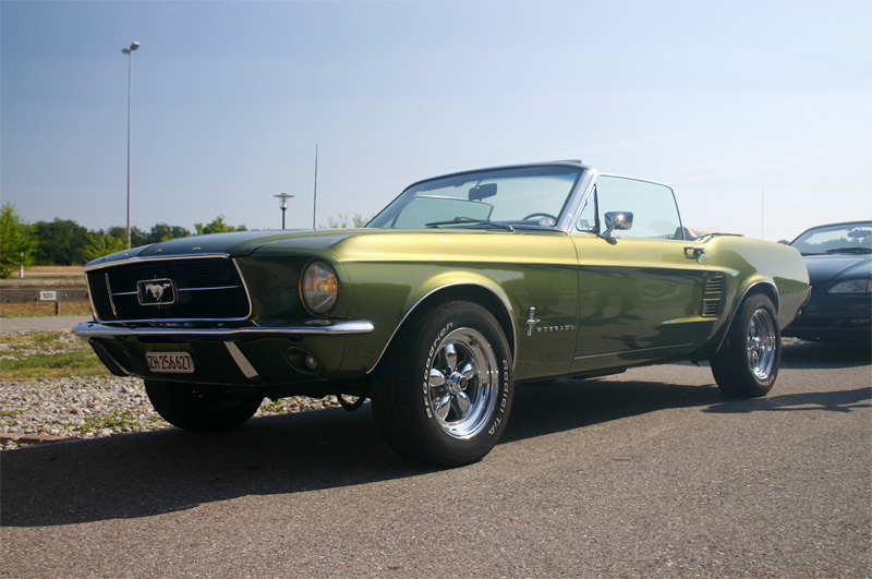 CRW_6615_JFR.jpg