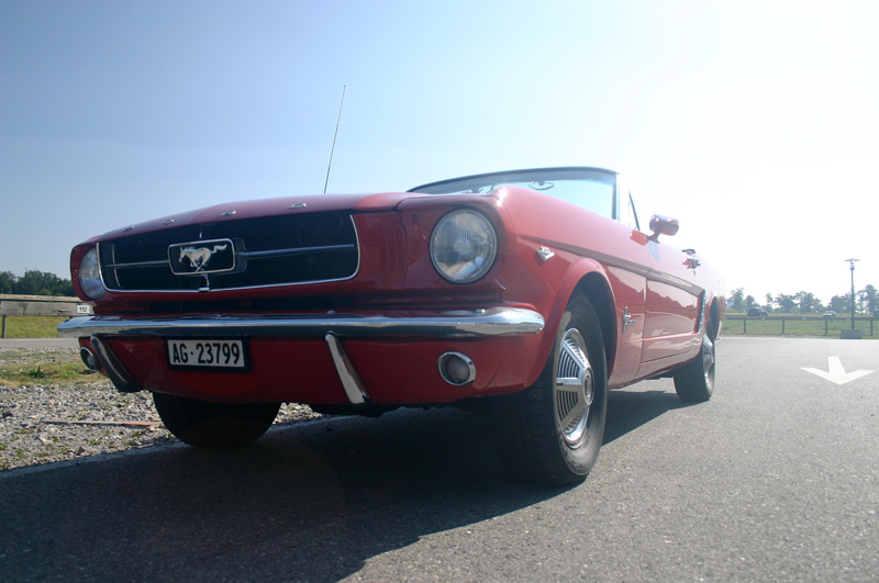 CRW_6621_JFR.jpg