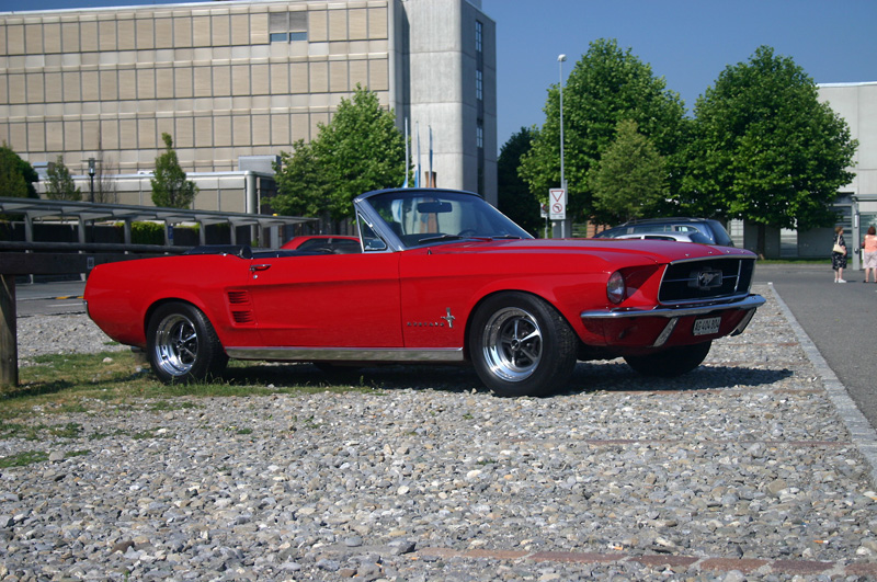 CRW_6622_JFR.jpg