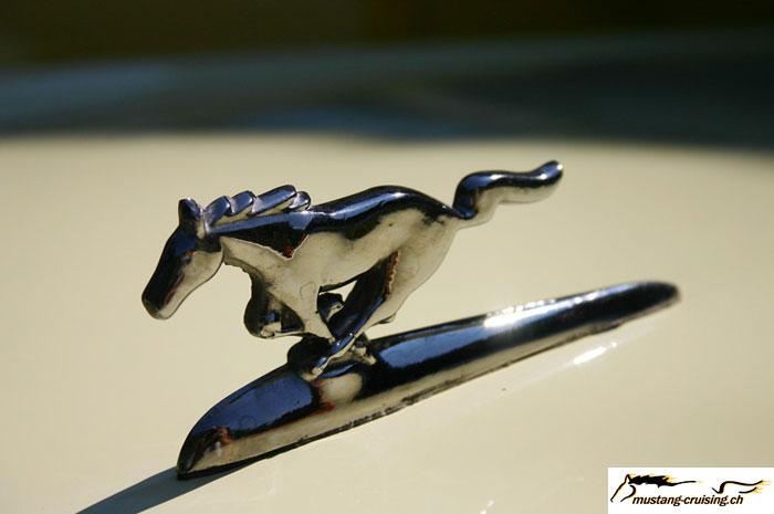 CRW_6665_JFR.jpg
