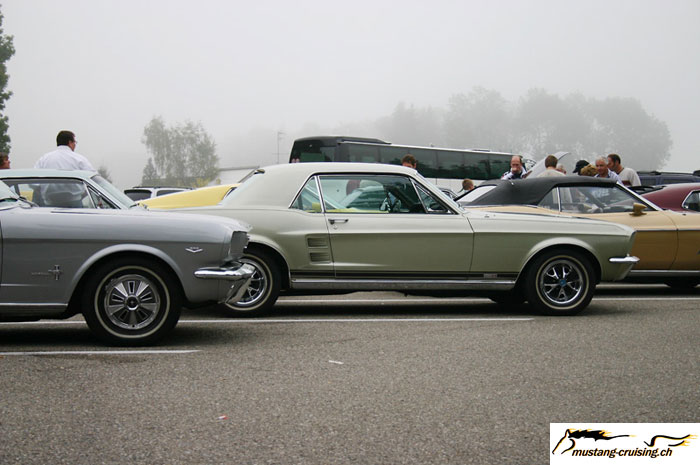 CRW_7746_JFR.jpg