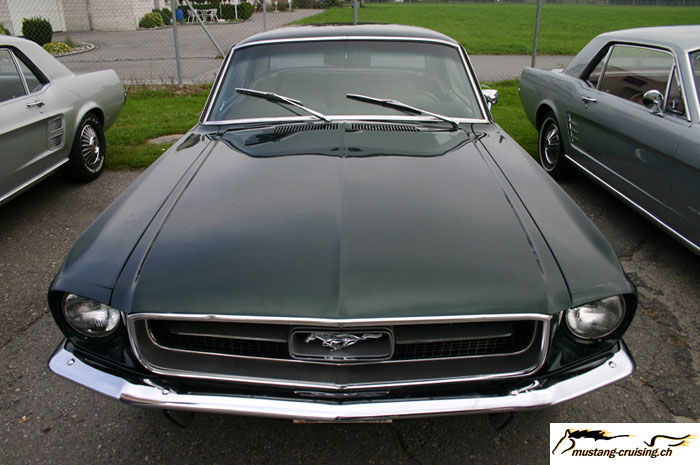 CRW_7821_JFR.jpg
