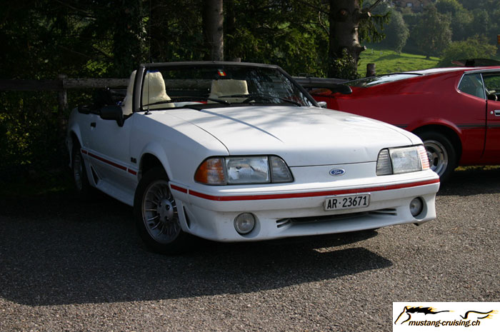 CRW_7868_JFR.jpg