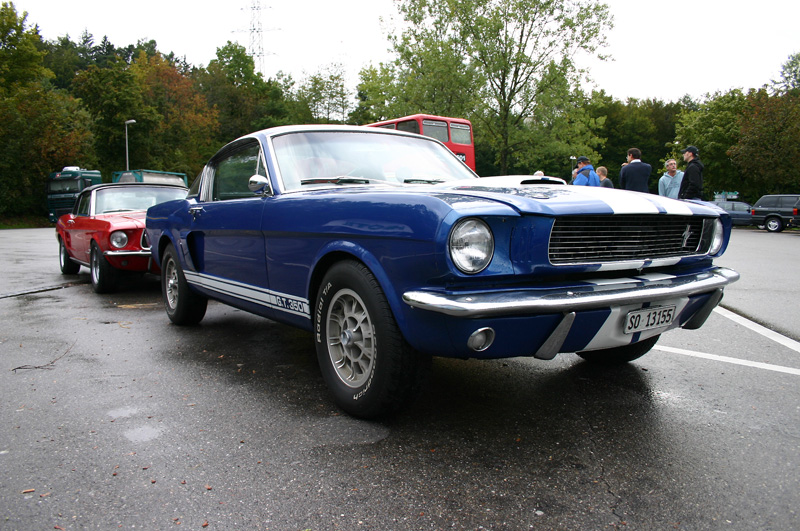 CRW_7977_JFR.jpg