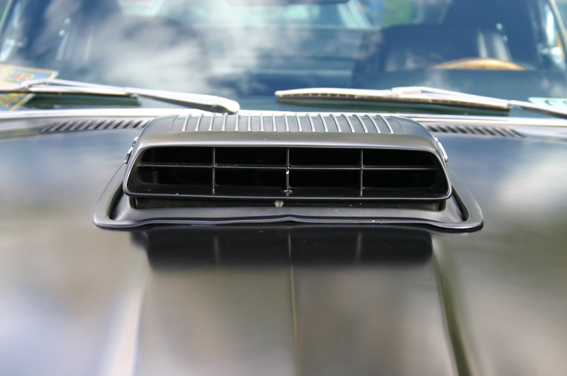 CRW_7986_JFR.jpg
