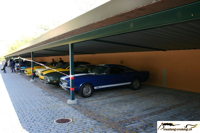 CRW_7997_JFR.jpg