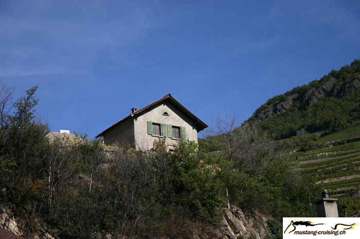 CRW_8018_JFR.jpg
