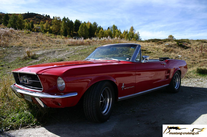 CRW_8120_JFR.jpg