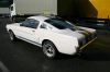 CRW_7984_JFR.jpg