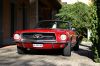 CRW_7993_JFR.jpg