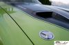 CRW_8175_JFR.jpg