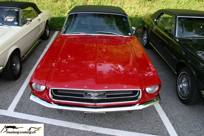CRW_2164_JFR.jpg