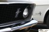 CRW_2238_JFR.jpg