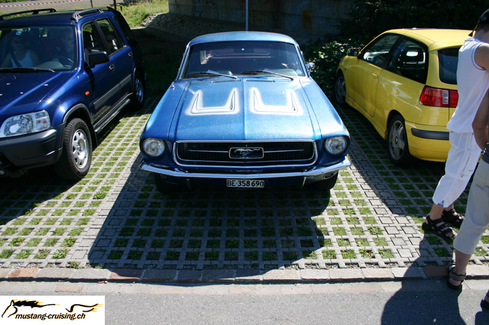 CRW_2426_JFR.jpg