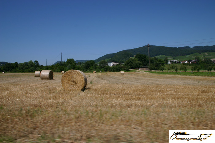 CRW_2443_JFR.jpg