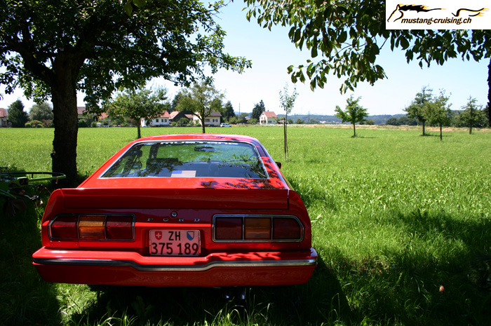 CRW_2499_JFR.jpg