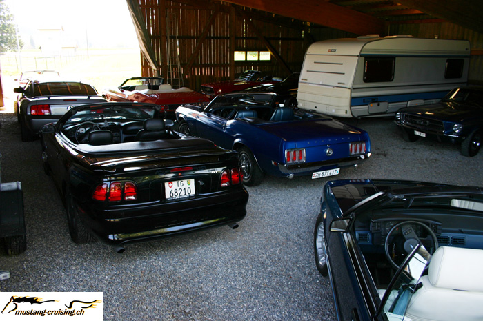 CRW_2501_JFR.jpg
