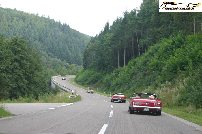 CRW_8644_JFR.jpg