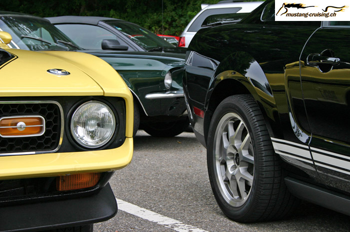 CRW_8667_JFR.jpg