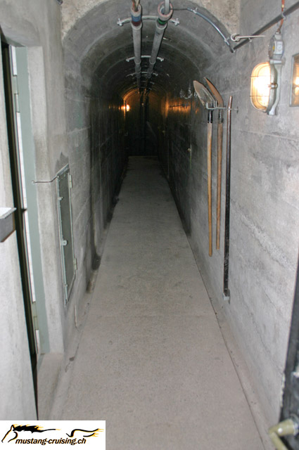 CRW_9213_JFR.jpg