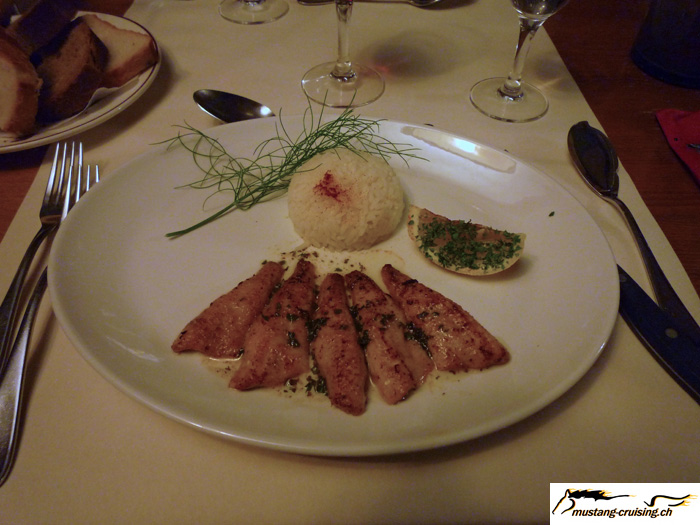 P1000943.jpg